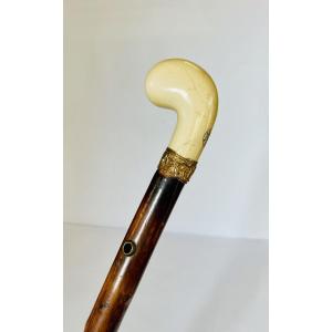 Cane 